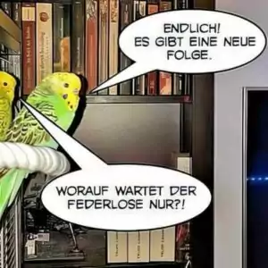 Wellensittich mit Fernseher (Star Wars Mandalorian)