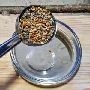 Füttern (Messlöffel)