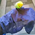Baumwolltuch Baumwolltuch