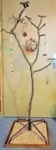 Erlebnisbaum Erlebnisbaum