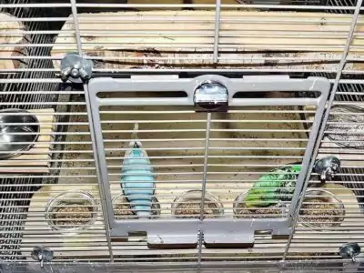 3. Ebene: Esszimmer (Futter- und Wassernäpfe)