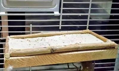 Sandbad Sandbad