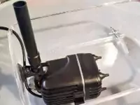 Pumpe Pumpe