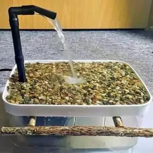 Vogeldusche Wasserfall