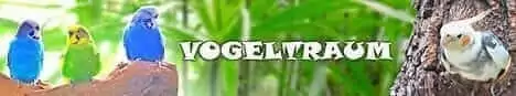 Vogeltraum
