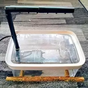 Vogeldusche Vogeldusche