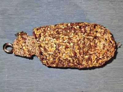 Banksia - Knabberzapfen
