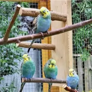 Ritas kleine Welliwelt