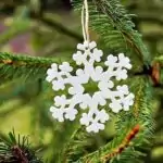Weihnachtsbaum Weihnachtsbaum