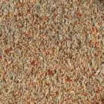 Welli-Fit Grassamen Welli-Fit Grassamen
