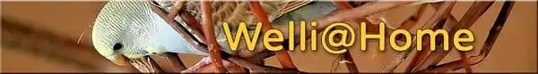 Banner - Welli@Home