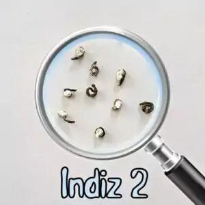 2. Indiz