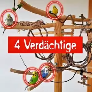 4 Verdächtige