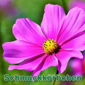 Schmuckkörbchen