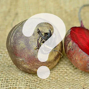Nährstoffvergleich: Rote Bete als Frischfutter?