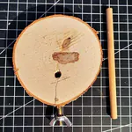 Astschraube + Stab Astschraube + Stab