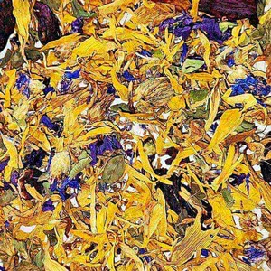 Primus Blüten-Power Primus Blüten-Power Mischung