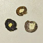 Kontrolle des Kots vom Wellensittich