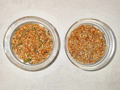 Vergleich Parrots Parcel & Mr. Crumble Vergleich Parrots Parcel & Mr. Crumble