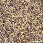 Delicha-Grassamen Delicha-Grassamen