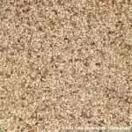 Teff (Zwerghirse) Teff (Zwerghirse)