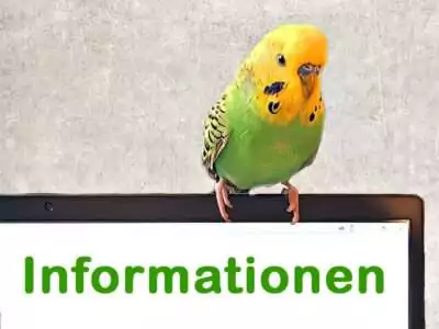 Informationen Informationen