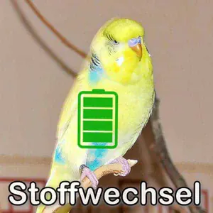 Stoffwechsel bei Vögeln (Faktencheck)