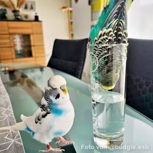 Platzhalter Platzhalter