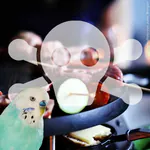 Raclette – eine tödliche Gefahr für Ziervögel