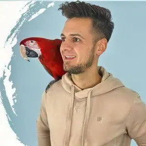 Pacolito Pacolito