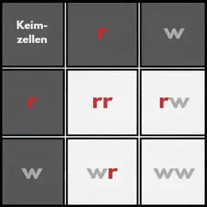 Kombinationsquadrat für Blüten