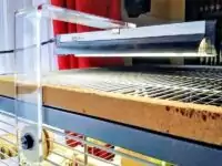 Vogellampe über Käfigdach