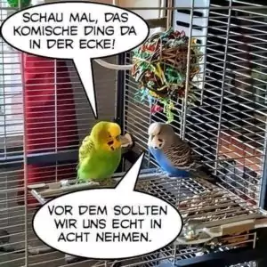 Kreativität trifft auf Desinteresse