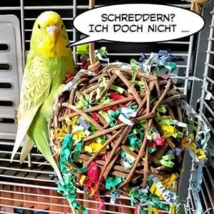 Ich doch nicht