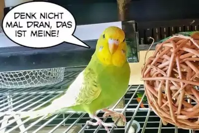 Denk nicht mal daran Denk nicht mal daran