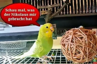 Lotta und der Nikolaus Lotta und der Nikolaus
