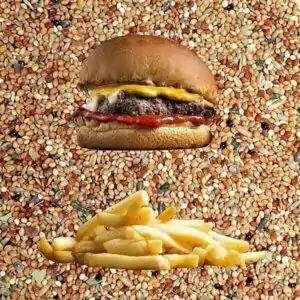 Fastfood - Vergleich
