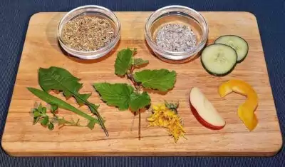 Richtige Ernährung der Wellensittiche