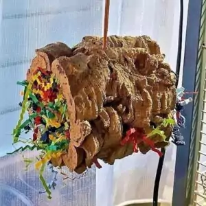 Röhren aus Kork oder Holz Röhren aus Kork oder Holz