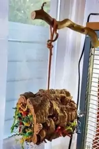 Sitzstange - Korkröhre Sitzstange mit Korkröhre