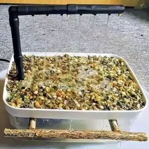 Vogeldusche 3in1 Vogeldusche 3in1