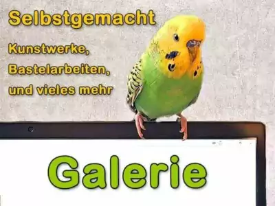 Galerie