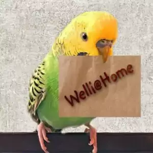 Welli@Home