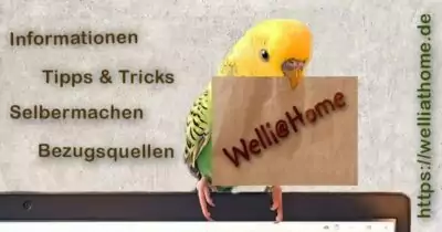 Welli@Home