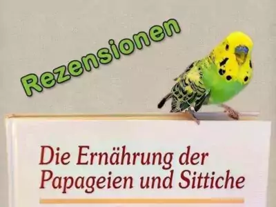Rezensionen Rezensionen