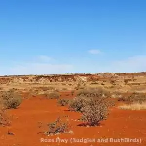 Australische Landschaft