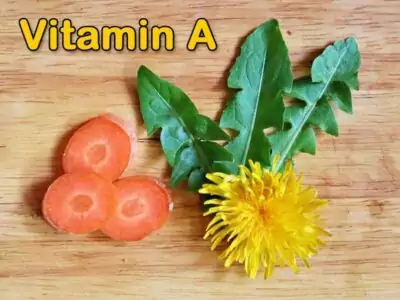 Vitamin-A-Mangel Vitamin-A-Mangel