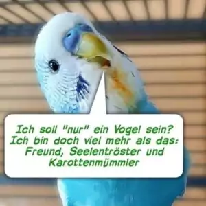 Nur ein Vogel - Jens