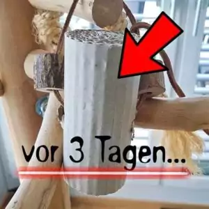 Spielzeug vor 3 Tagen