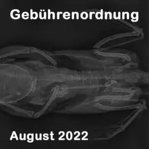 Röngtenbild